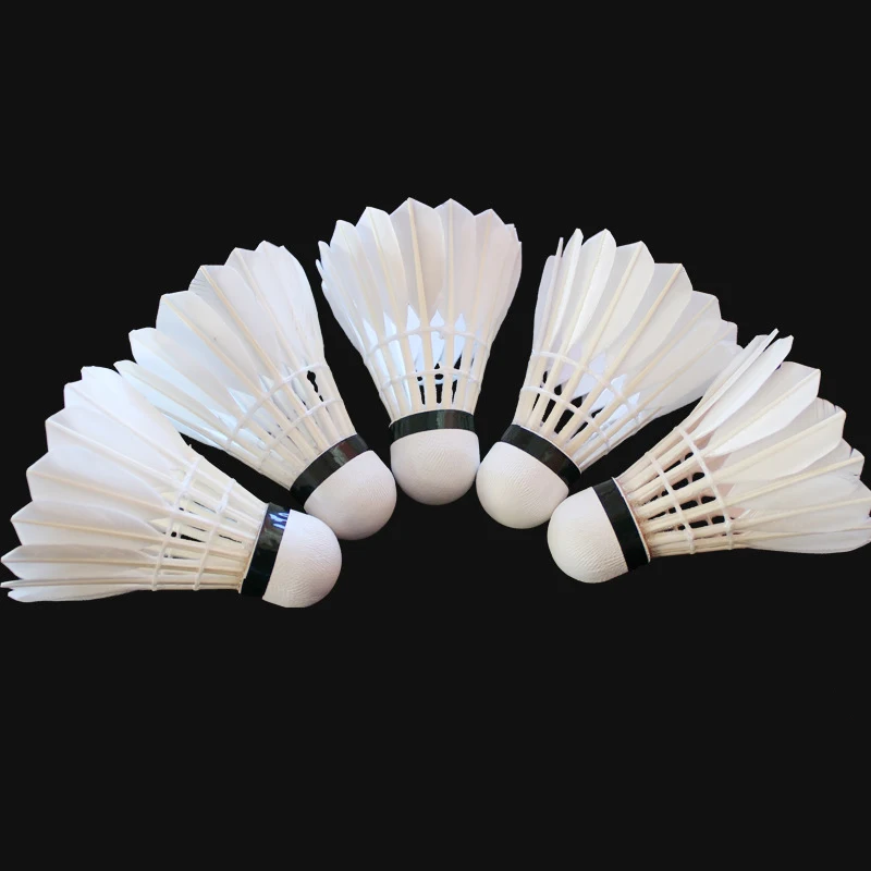 Badminton shuttlecock met cust - Badminton Club Logo recensie en prijs